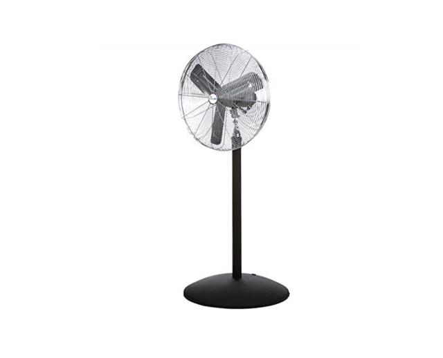 Rental store for FAN, 24  PEDESTAL in Whistler BC